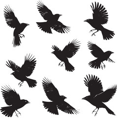 Obraz premium set of silhouettes of birds flying