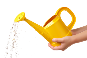 A yellow watering can in hand isolated on a white or transparent background. Water splashes and droplets pour out of the watering can. Watering plants and flowers, gardening equipment.