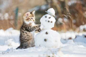 Cute and adorable kittens happily building a snowman on a winter day, enjoying playful antics in the snow.