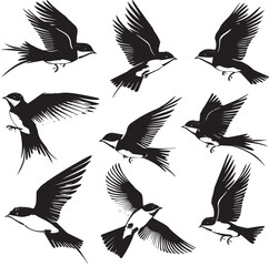 Obraz premium set of birds