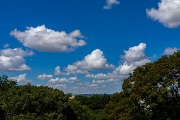 Fototapeta na wymiar Beautiful landscape with blue sky and white clouds. Horizon line