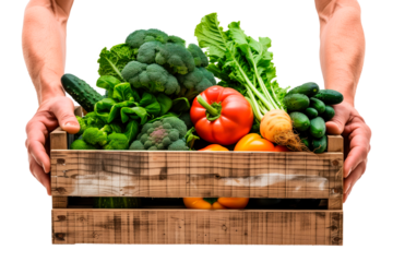 A man's hands hold box with vegetables on a white or transparent background. Selling vegetables at a market or store close-up.