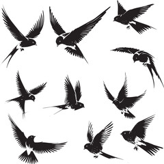 silhouettes of birds