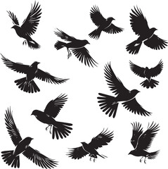 Fototapeta premium set of birds