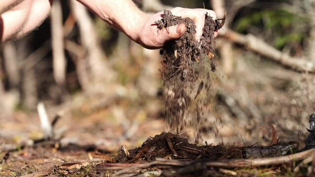 farmer holding soil in hand and pouring soil on ground. connected to the land and environment. soil agronomy in australia. soil heath study. in touch with nature