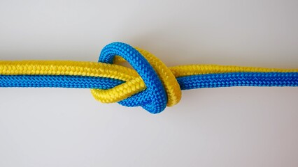Yellow and blue colored ropes twisted and tied up creating knot, isolated on white background,...