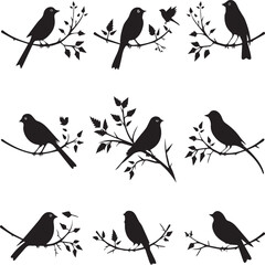 birds on a branch