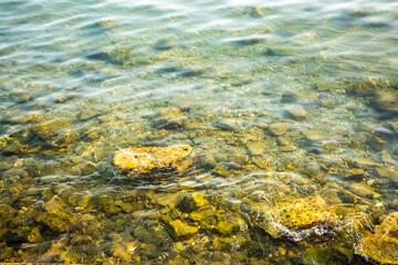 Stones in the sea near the shore under clear water