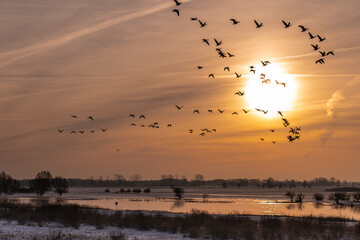 Warta , Rzeka, Gorzów , Lubuskie , Polska , wschód © Daniel Folek