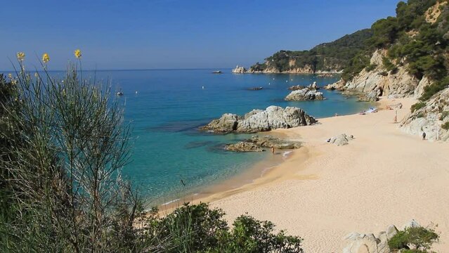 General view of the Sa Boadella cove surrounded by cliffs and transparent water. Tossa de Mar, Costa Brava, Catalonia, Spain.