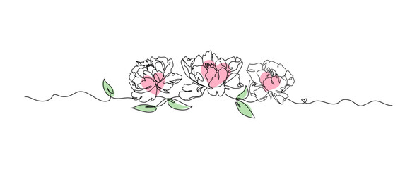 Peony flowers line art isolated on white, flower with heart continuous line hand drawn, vector illustration
