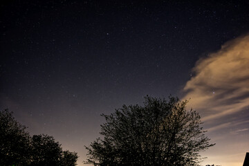Starry sky with clouds and trees in the foreground
