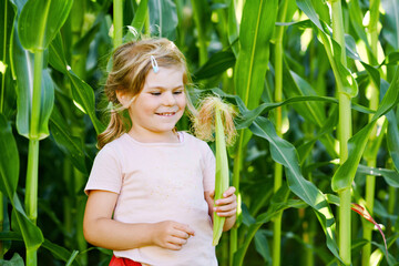 Happy little toddler girl playing on corn labyrinth field on organic farm, outdoors. Funny child...