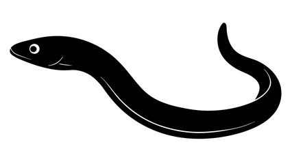 Eel silhouette vector illustration isolated on a white background 