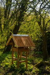 large bird feeder in the park