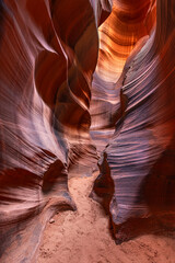 Cardiac Slot Canyon is among the most unique chambers in all of Arizona, with striations that bring...