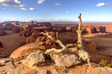 Hunts Mesa overlook in Monument Valley framed by an old tree branch is an area where many western...