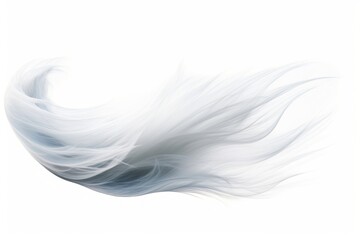 Winds white white background lightweight.