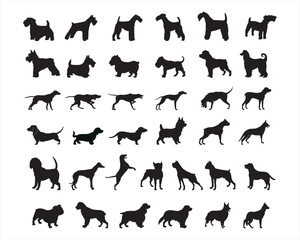 A collection of dog silhouettes in various poses and breeds. Perfect for pet lovers, veterinarians, or dog trainer. animal, canine, domestic, cute, friendly, loyal, companion - obrazy, fototapety, plakaty