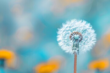 Resilient Dandelion Puff Flexing Its Fluffy Seeds in the Breeze of a Serene Meadow