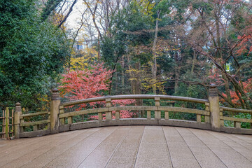 Red leaves around Mount Fuji in the autumn on daytime at Kawaguchiko lake