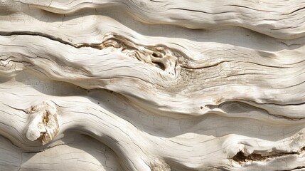 Coastal Charm: Textured Driftwood by the Shore - obrazy, fototapety, plakaty