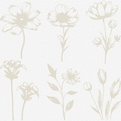Delicate watercolor meadow flowers, botanical digital paper