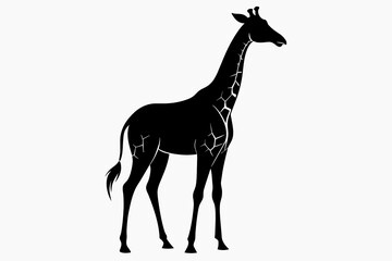 black giraffe  silhouette vector illustration on white background