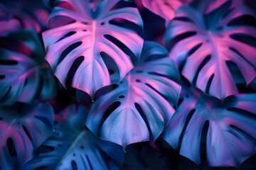 A mesmerizing pattern of monstera leaves with a cool blue and pink tonal blend creating a calming effect