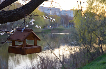 A wooden bird feeder hanging on a blooming tree on a the background of a picturesque body of water (river, lake)