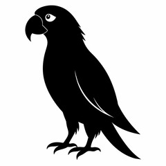 Fototapeta premium Parrot vector art illustration on white background, bird on a branch