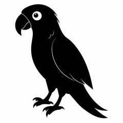 Parrot vector art illustration on white background, bird on a branch