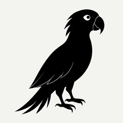 Parrot vector art illustration on white background, bird on a branch