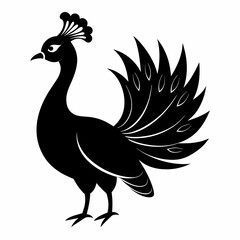 peacock silhouette vector art illustration