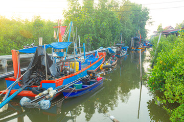 Mangrove forests and small fishing boats in Asia 