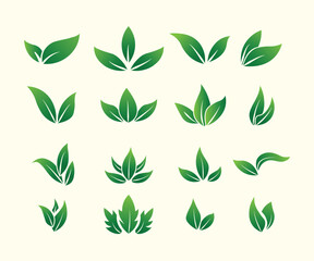 Set of leaves graphics illustration vector