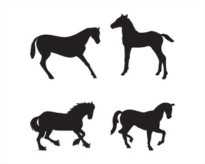 A set of high-quality detailed horse silhouettes