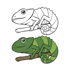 Hand drawn chameleon coloring book illustration