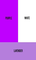 illustration of a mixture of 2 colors, a mixture of purple and white results in lavender