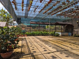 greenhouse with orchid flowers in vietnam
