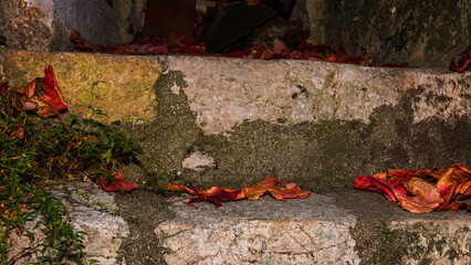 Eze village in Provence, French Riviera