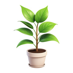 potted green plant png assets
