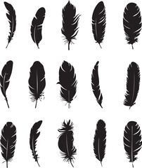 Set of silhouettes feather icons on white background 