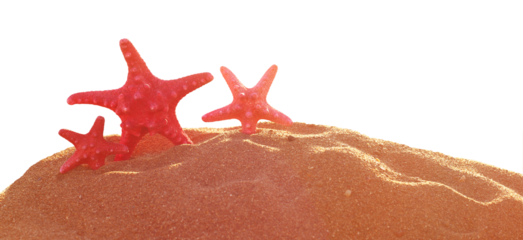 Starfish on a sandy tropical beach isolated