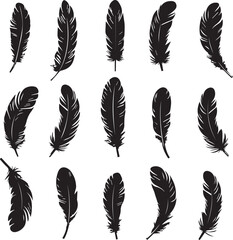 Set of feather silhouettes on white background