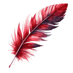 Red feather watercolor vector illustration isolated on transparent background
