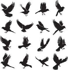 Set of Beautiful Birds black Silhouette on white background
