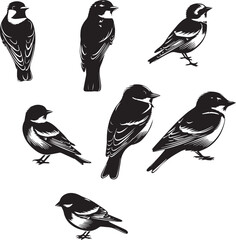 Set of Beautiful Birds black Silhouette on white background