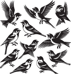 Obraz premium Set of Beautiful Birds black Silhouette on white background