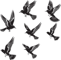 Set of Beautiful Birds black Silhouette on white background